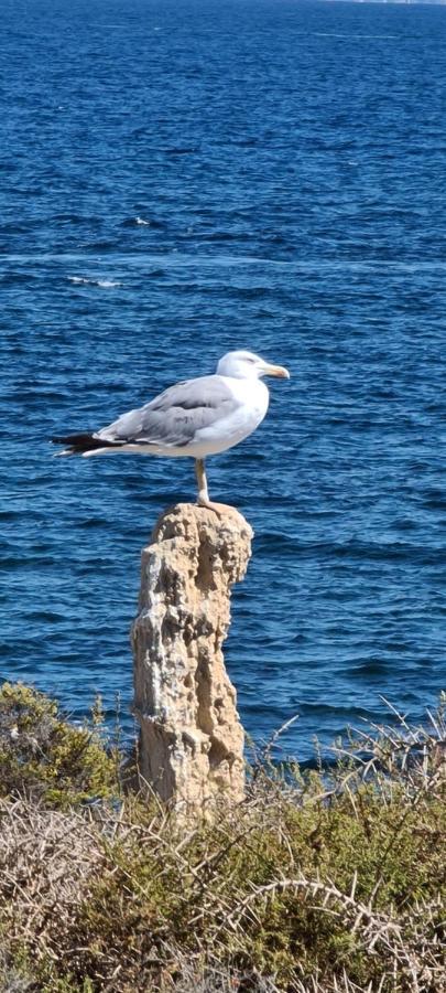 75 Avinguda De Murcia Santa Pola Eksteriør billede